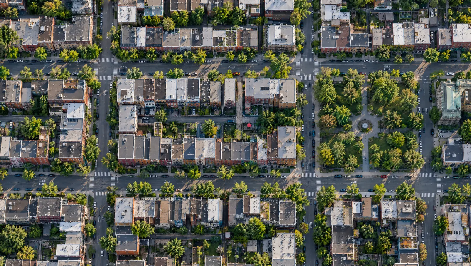 Illustration of the Plateau street grid seen from above