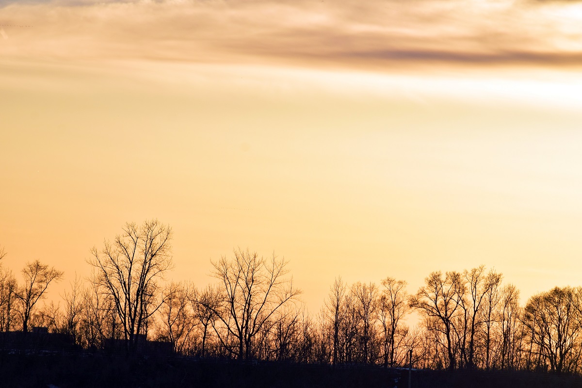 sunset in montreal