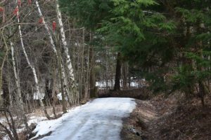 Hiking path MTL
