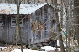 Cabin in the woods with ski and winter equipment
