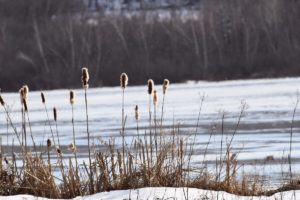 Mont Bromont Frozen lake