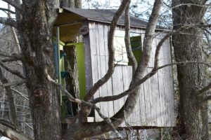 Tree house
