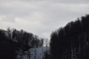 Cloudy skys