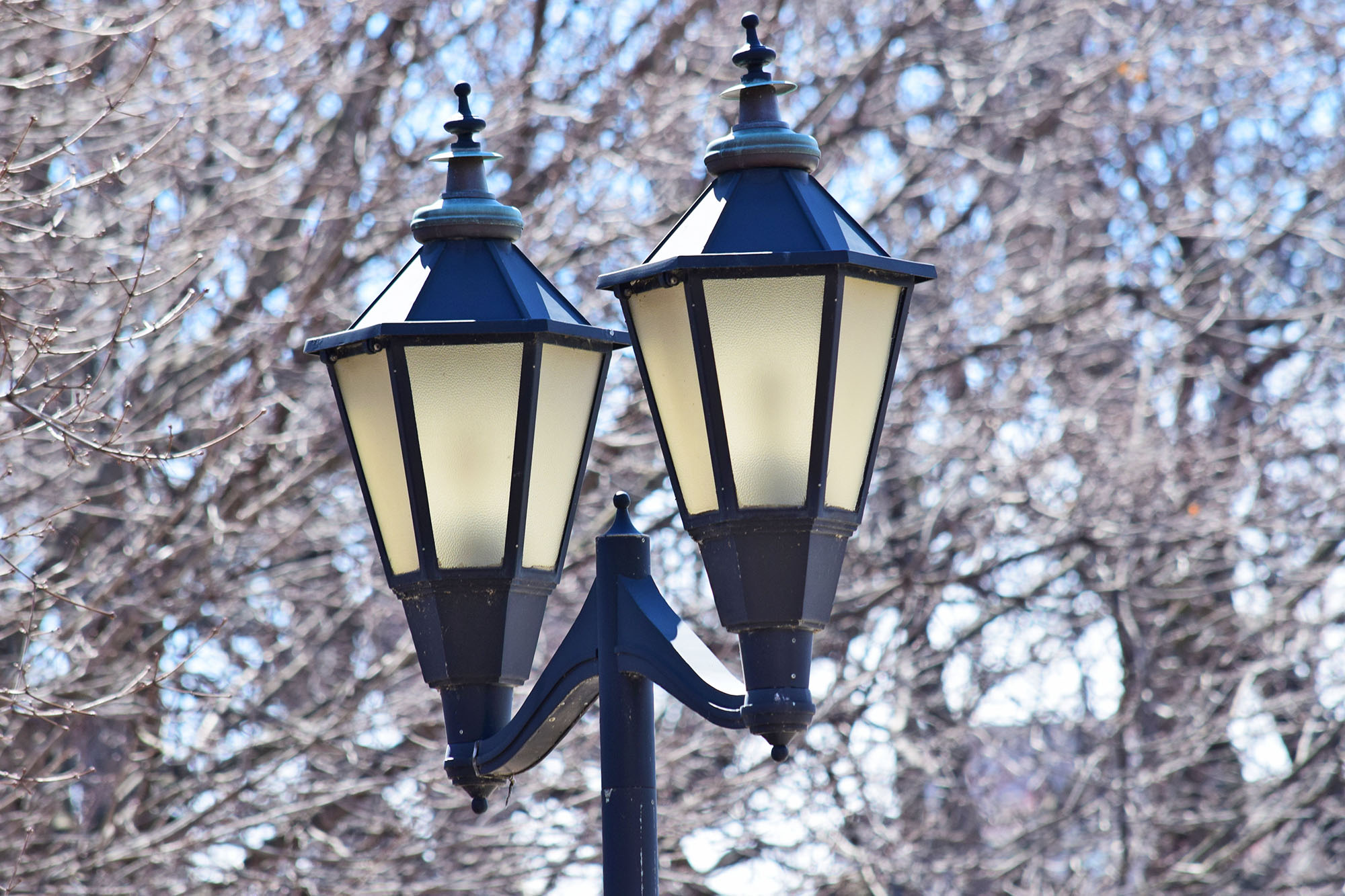 Lantern In Park