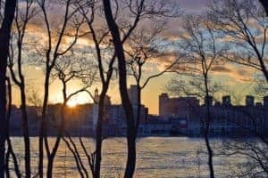 Sunset MTL in Between the Trees