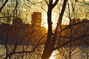 Montreal Spider Web