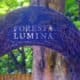 Entrance Foresta Lumina