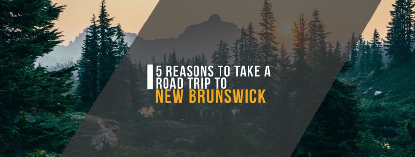 5 Reasons to Take a Road Trip to New Brunswick