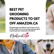 Best pet grooming products to get in Canada