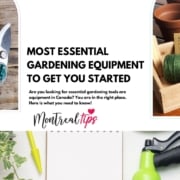 Most essential Gardening Equipment to get you started