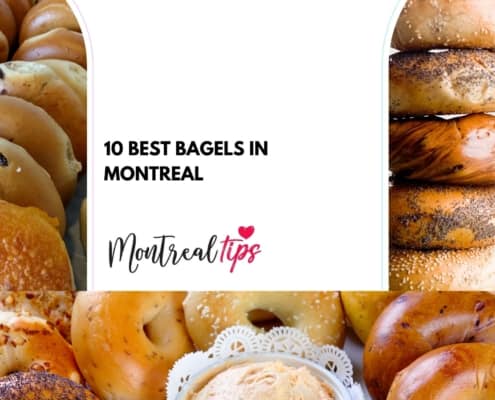 10 Best bagels in Montreal