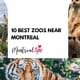 10 Best Zoos Near Montreal