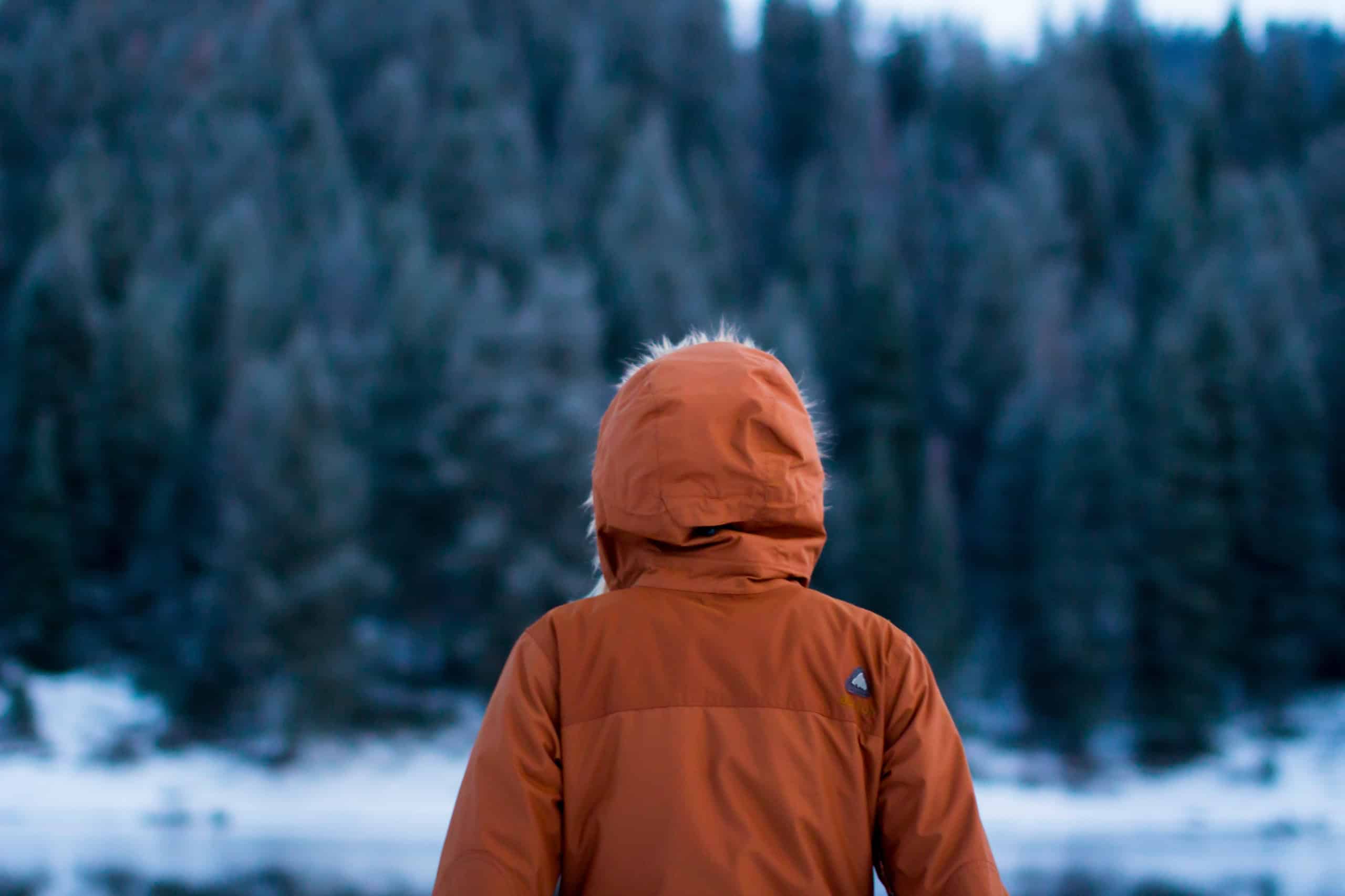 Las 5 mejores chaquetas de invierno para lluvia y nieve (uso diario, guía 2025)